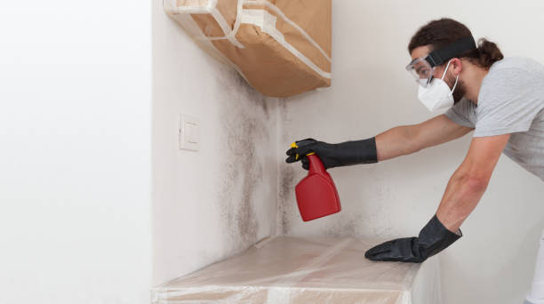 Professional Mold Removal technician working in Wake Forest, NC