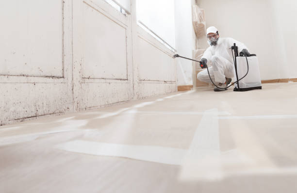 24/7 Emergency Mold Removal experts in Wake Forest, NC