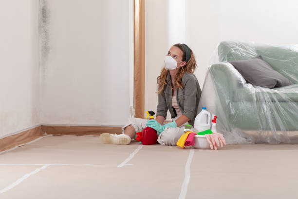 Reliable Mold Removal contractor in Wake Forest, NC by Car Mold Remediation